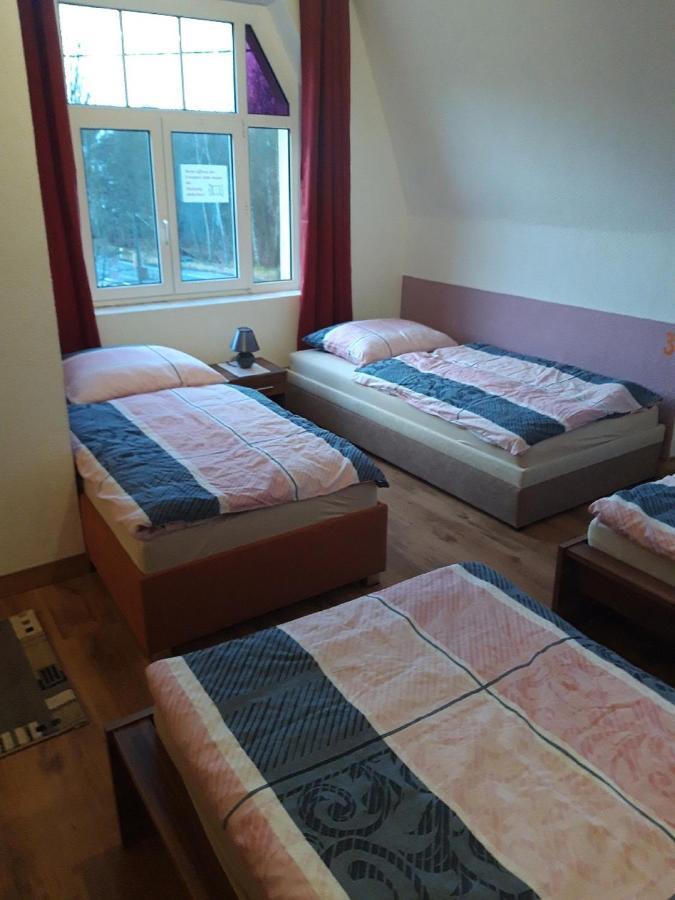 Ferienwohnung Erz-Hostel Thermalbad Wiesenbad エクステリア 写真