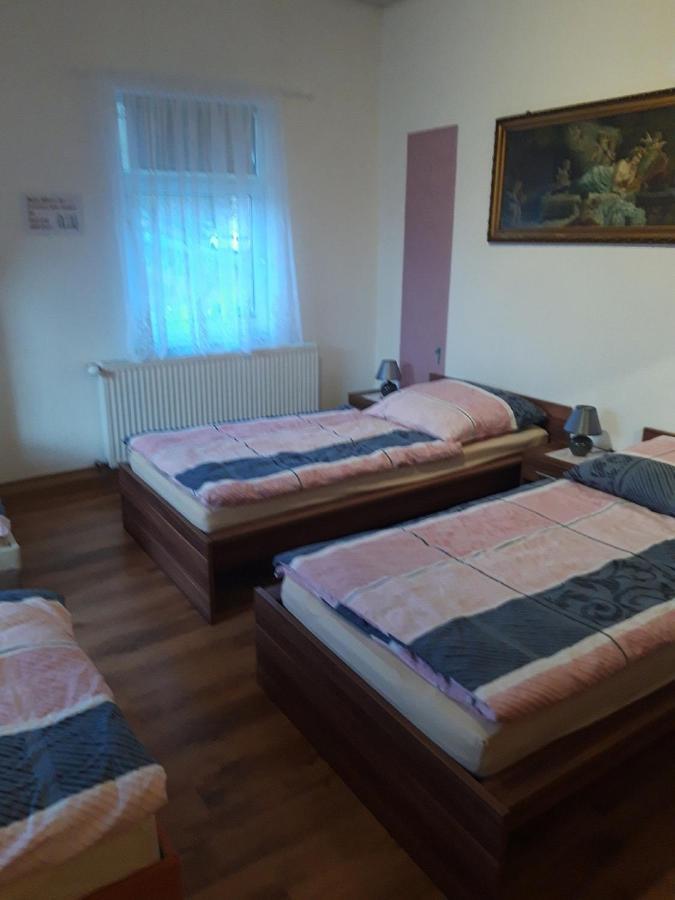 Ferienwohnung Erz-Hostel Thermalbad Wiesenbad エクステリア 写真