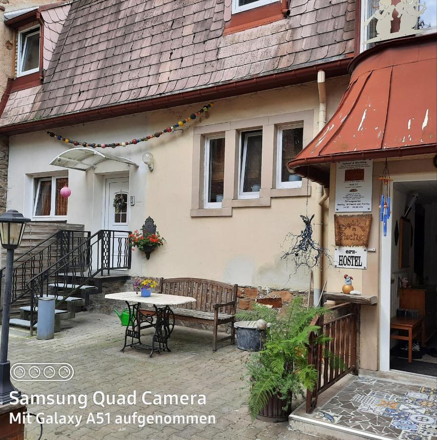 Ferienwohnung Erz-Hostel Thermalbad Wiesenbad エクステリア 写真