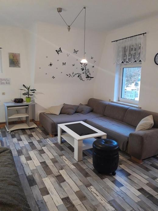 Ferienwohnung Erz-Hostel Thermalbad Wiesenbad エクステリア 写真
