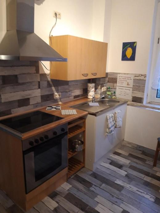 Ferienwohnung Erz-Hostel Thermalbad Wiesenbad エクステリア 写真